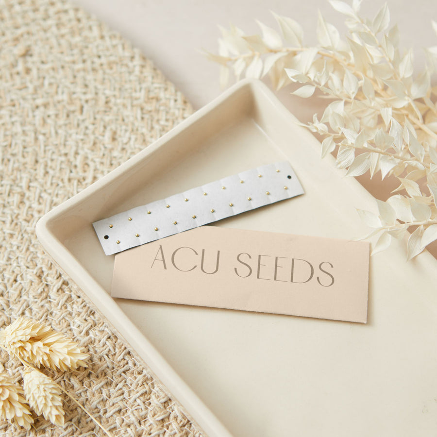 A pack of ACU Seeds ear seeds refills displayed on a neutral background, accompanied by decorative dried plants.